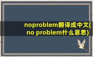 noproblem翻译成中文(no problem什么意思)